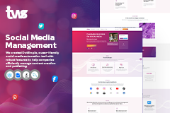 Social Media Management Industry Website